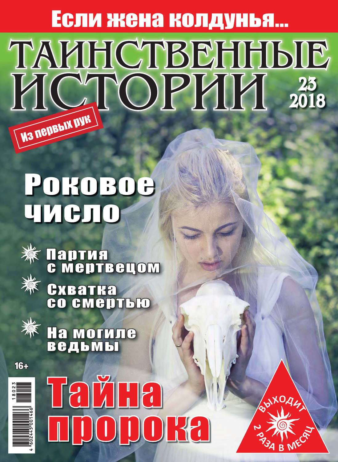 Обложка книги «Таинственные истории №23/2018»