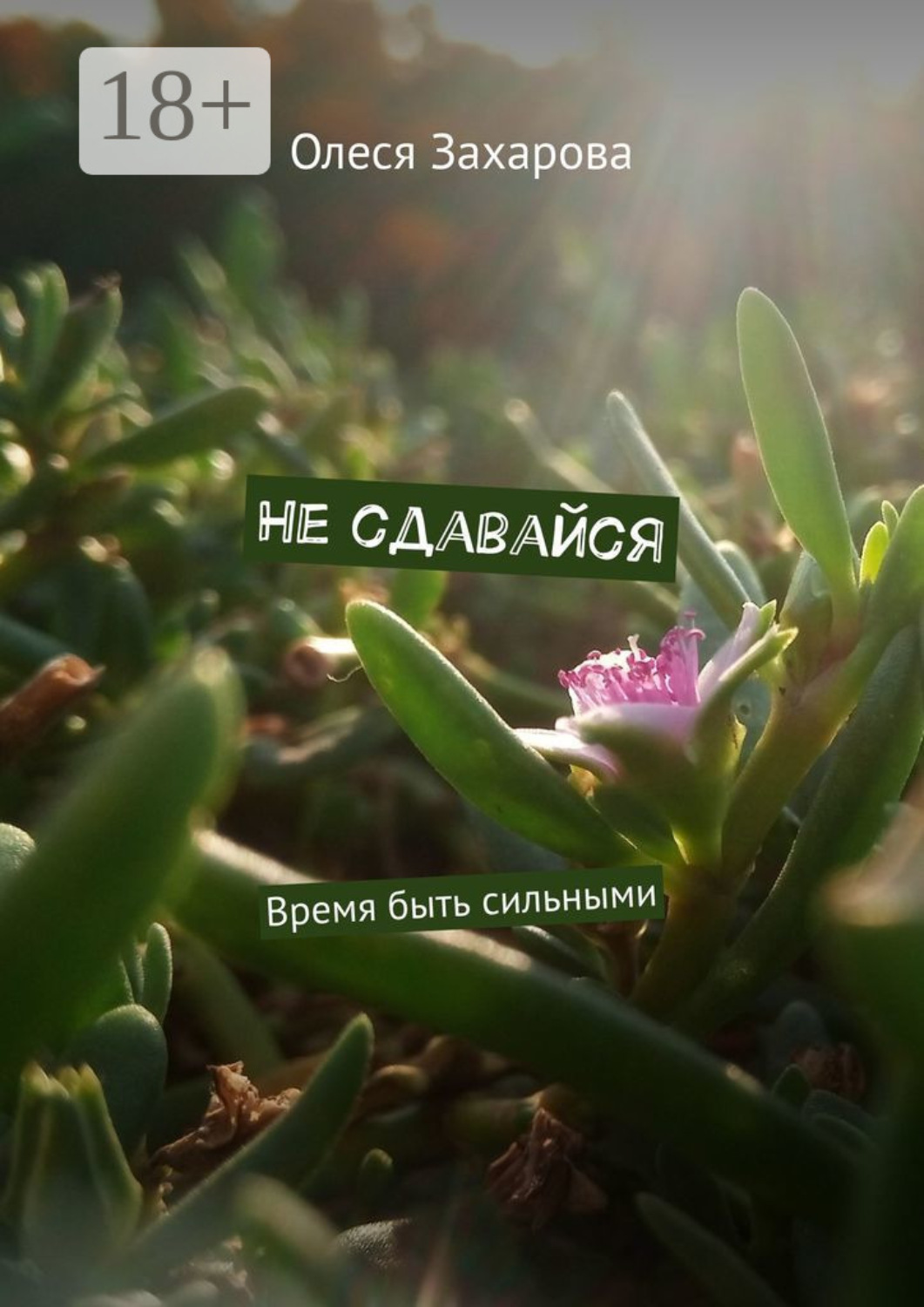 Обложка книги «Не сдавайся. Время быть сильными»