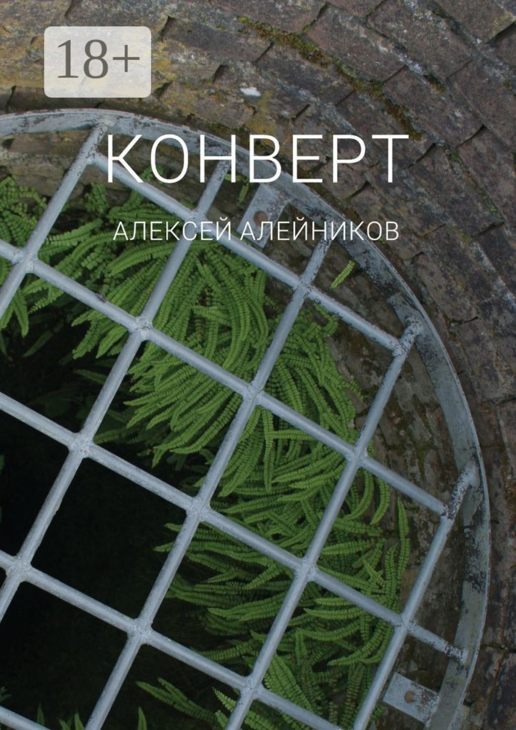 Обложка книги «Конверт»