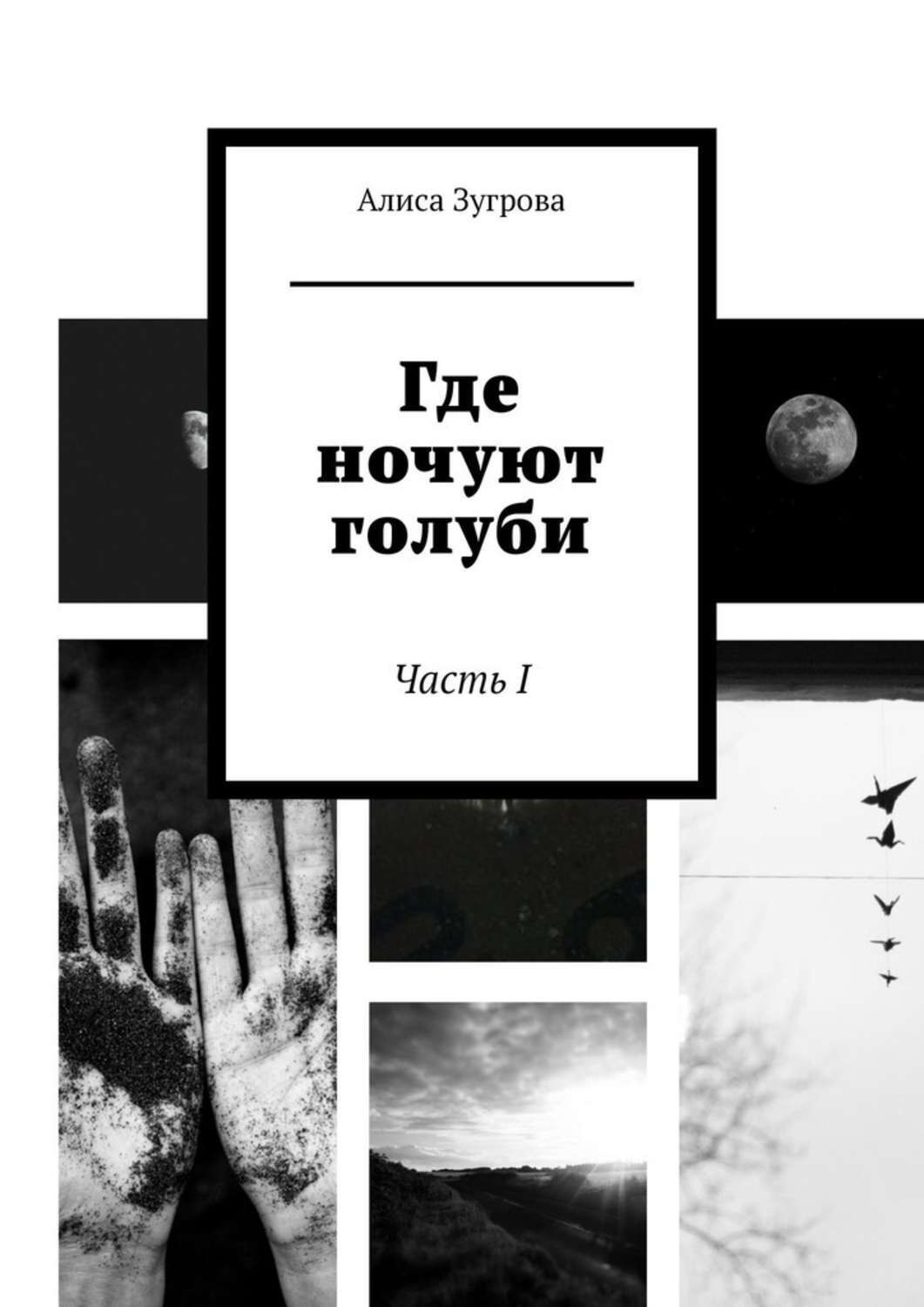 Обложка книги «Где ночуют голуби. Часть I»