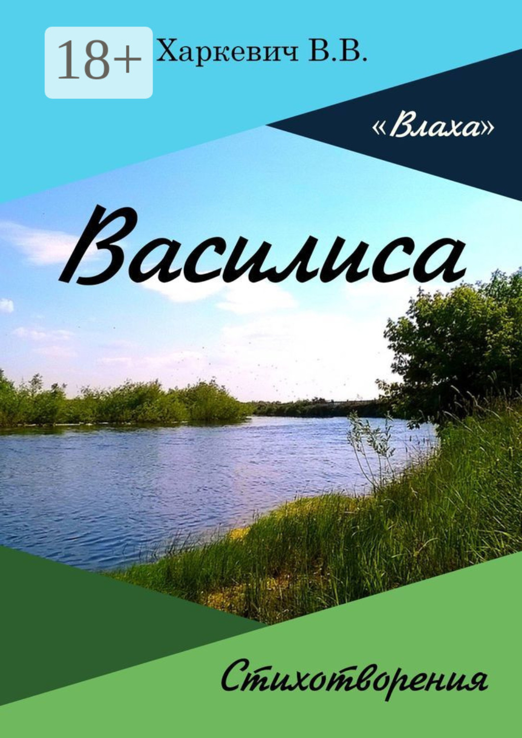 Обложка книги «Василиса»