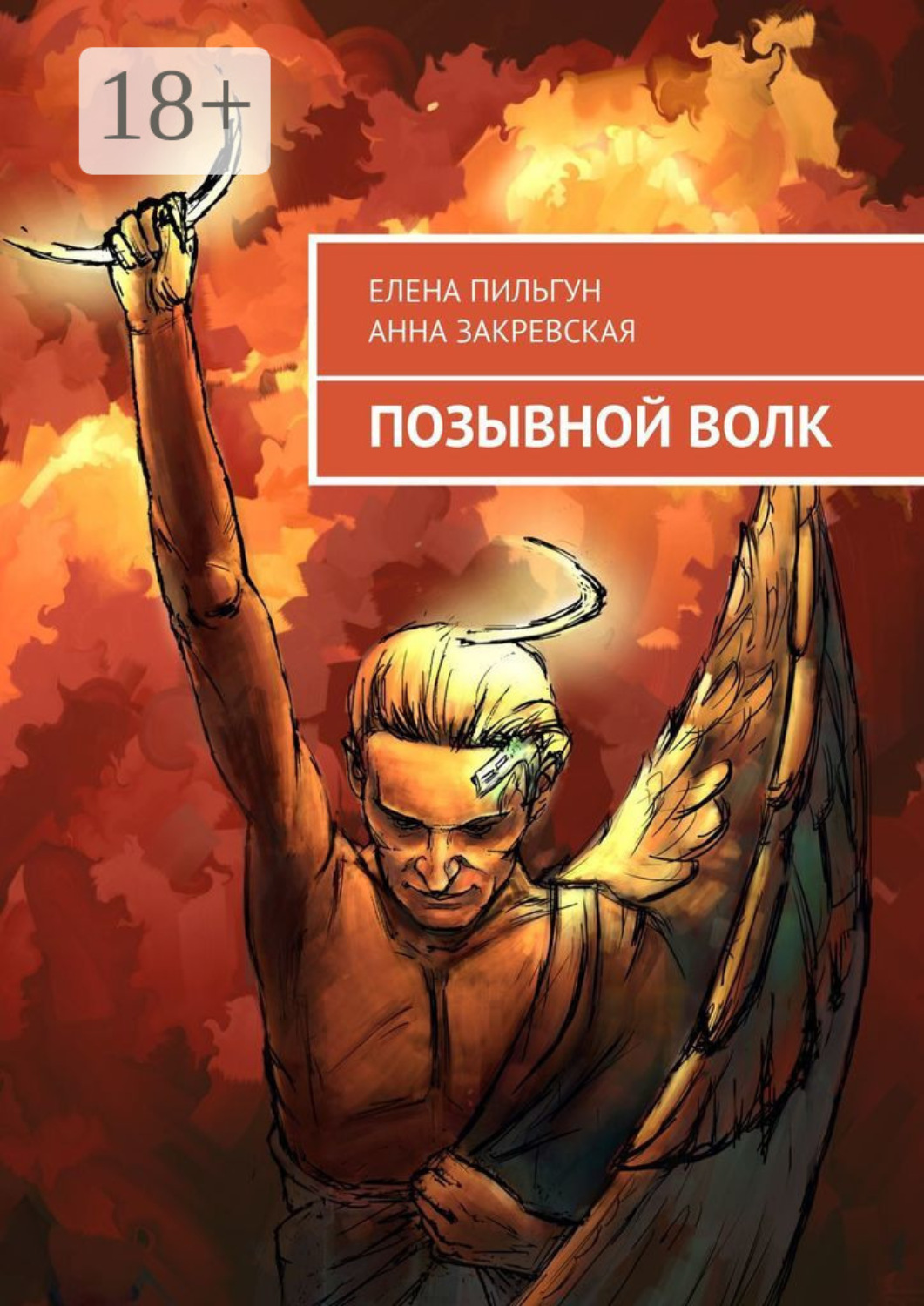 Обложка книги «Позывной Волк»