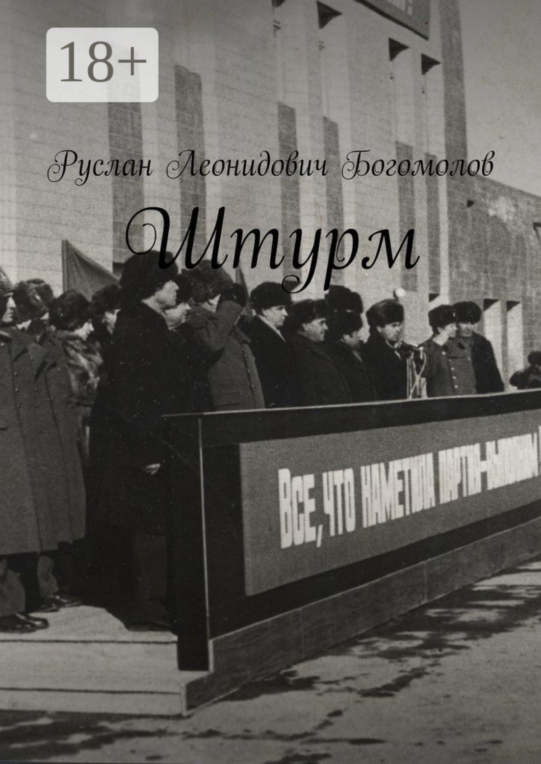 Обложка книги «Штурм»