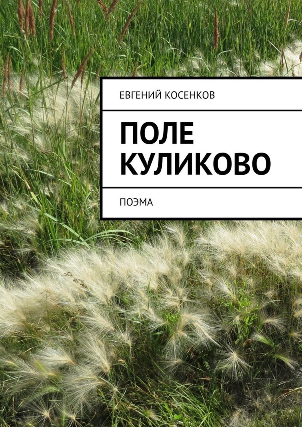 Обложка книги «Поле Куликово. Поэма»