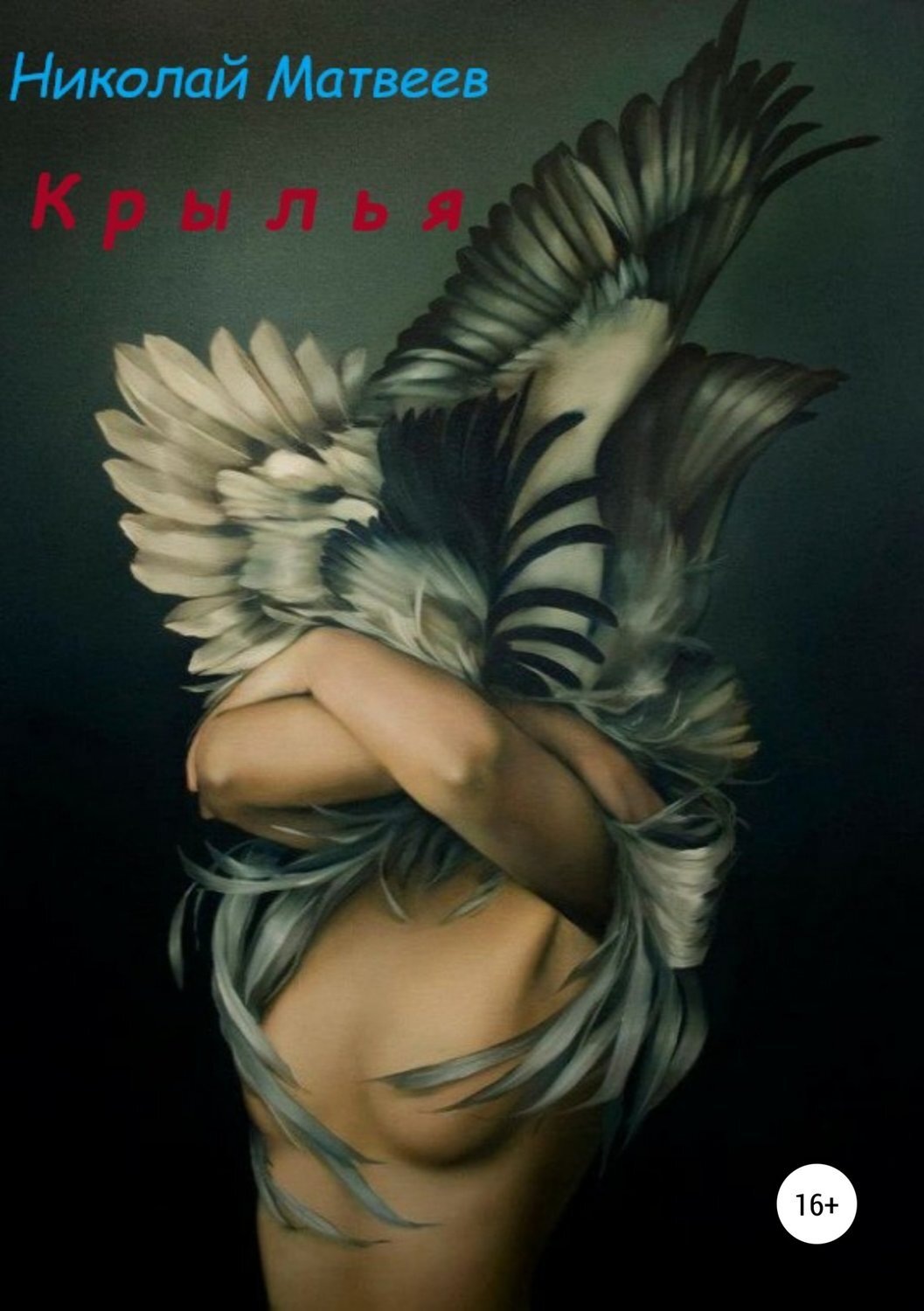 Обложка книги «Крылья»
