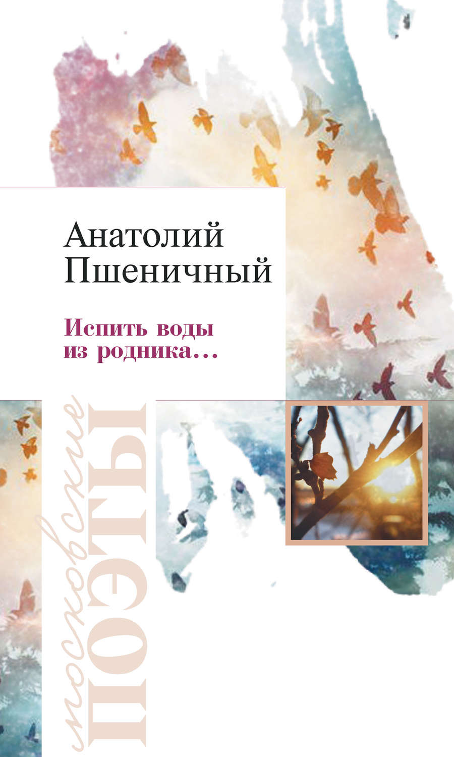 Обложка книги «Испить воды из родника…»