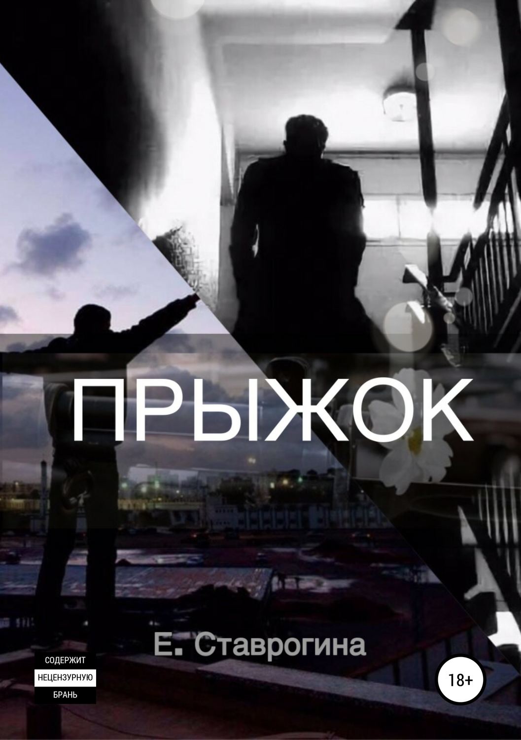 Обложка книги «Прыжок»