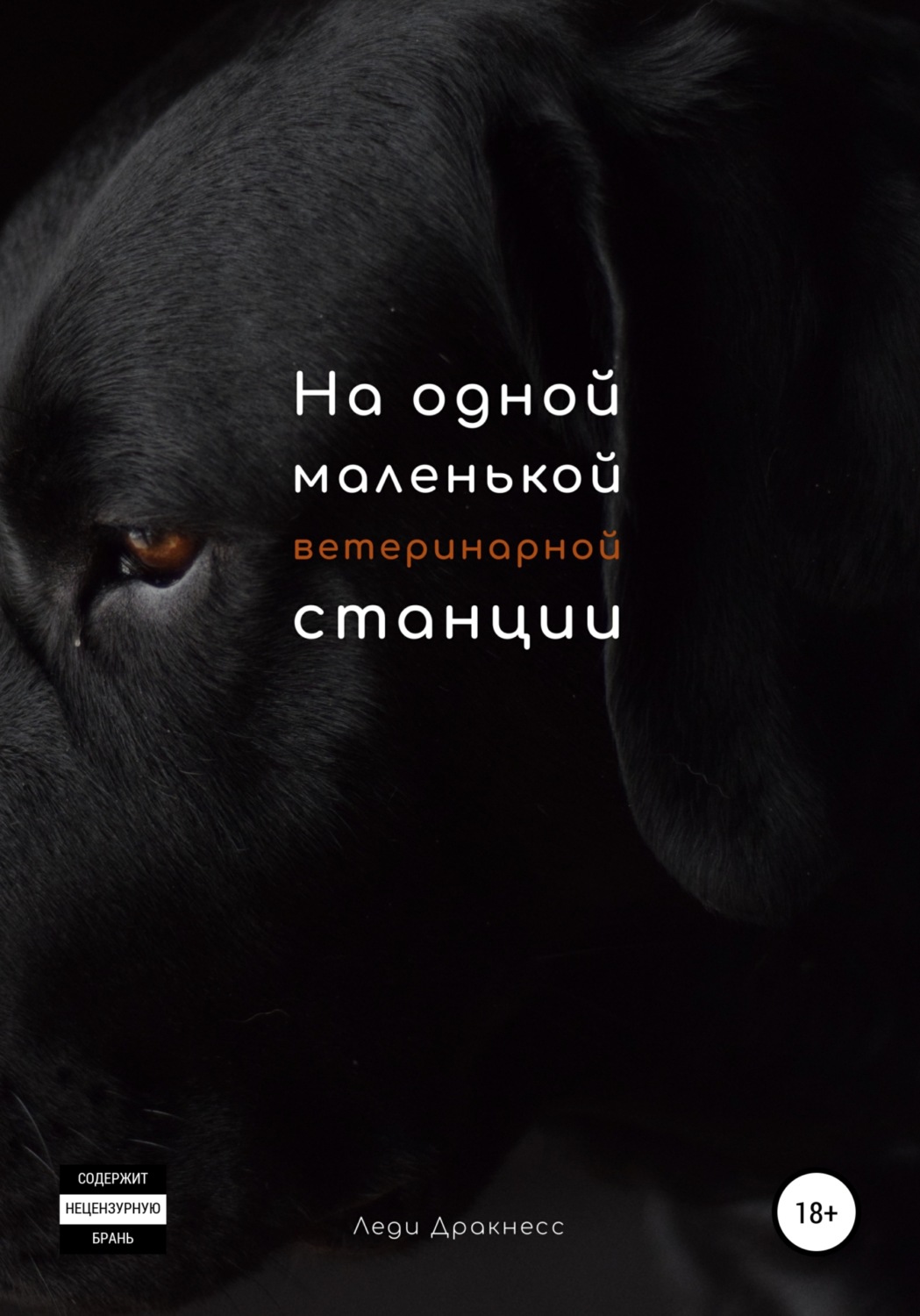 Обложка книги «На одной маленькой ветеринарной станции»