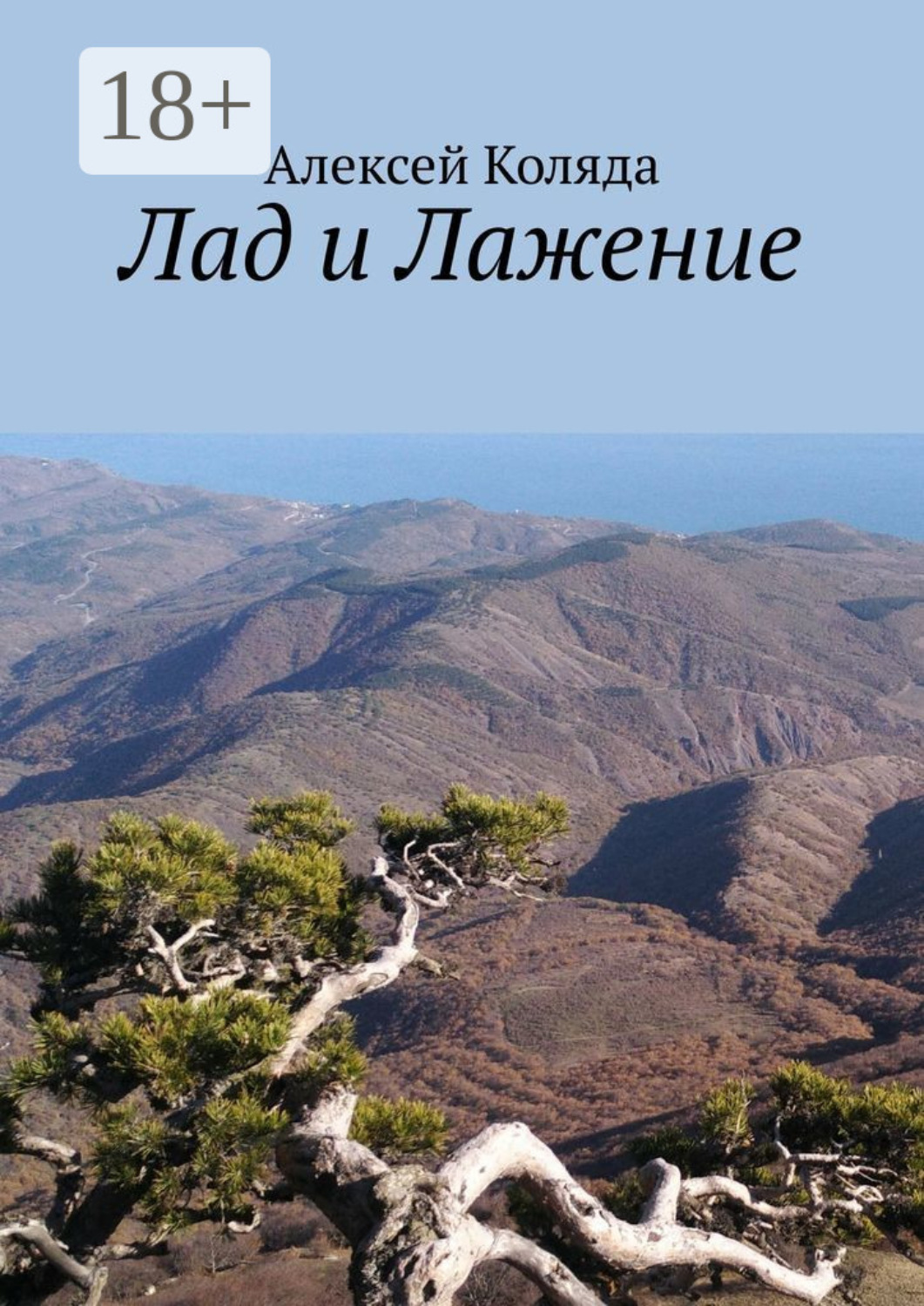 Обложка книги «Лад и Лажение»