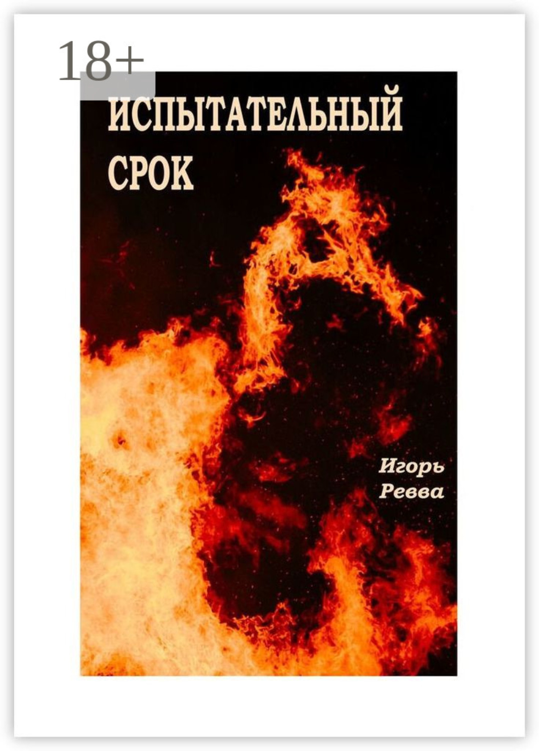Обложка книги «Испытательный срок»