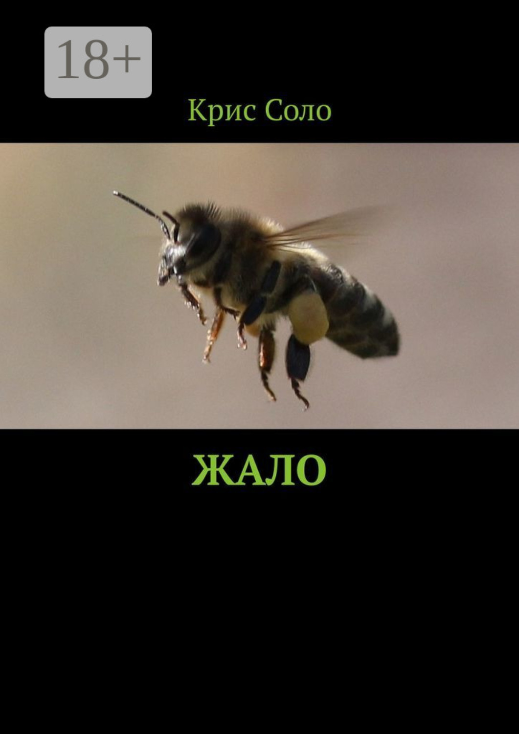 Обложка книги «Жало»