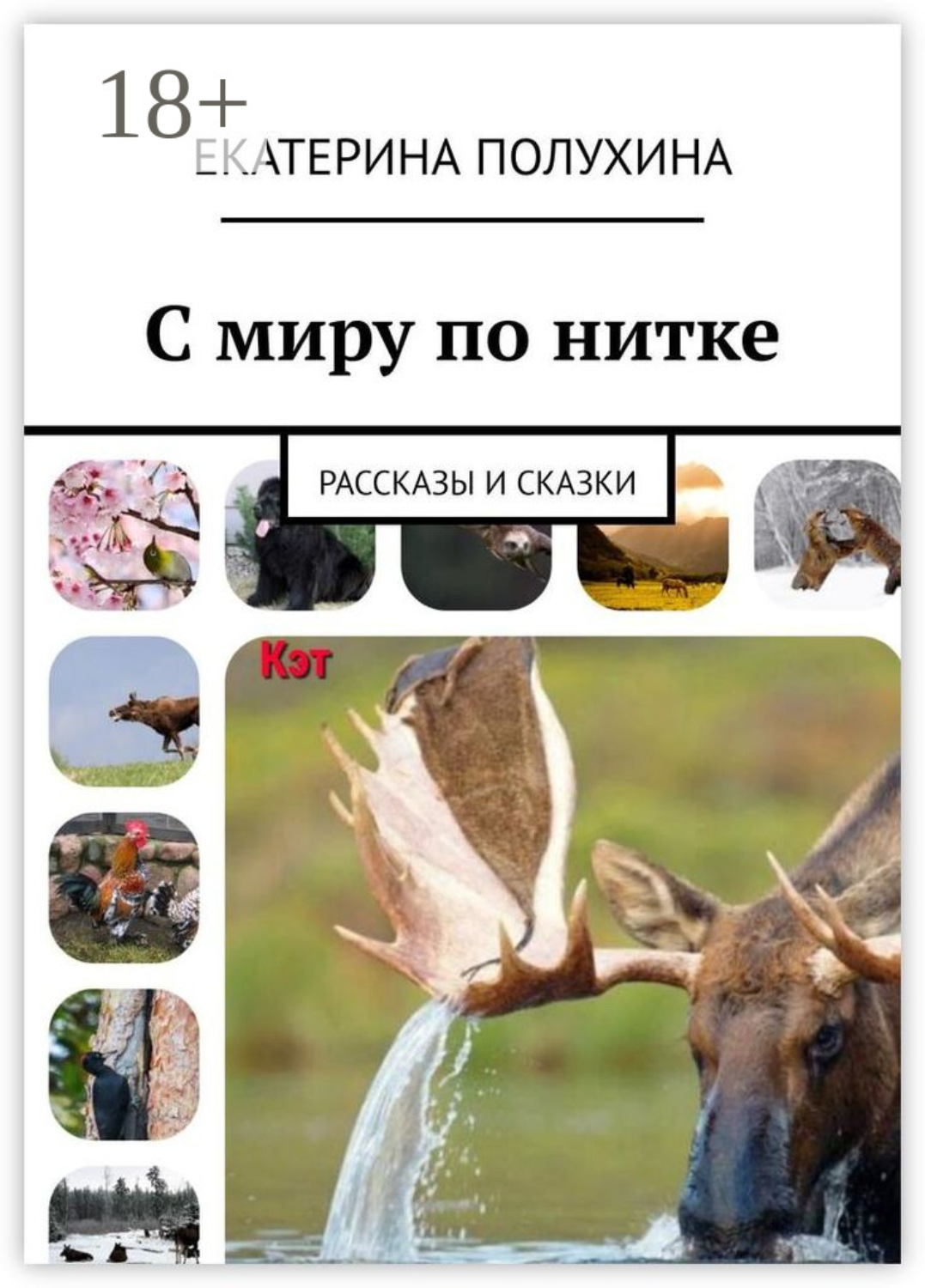 Обложка книги «С миру по нитке. Рассказы и сказки»
