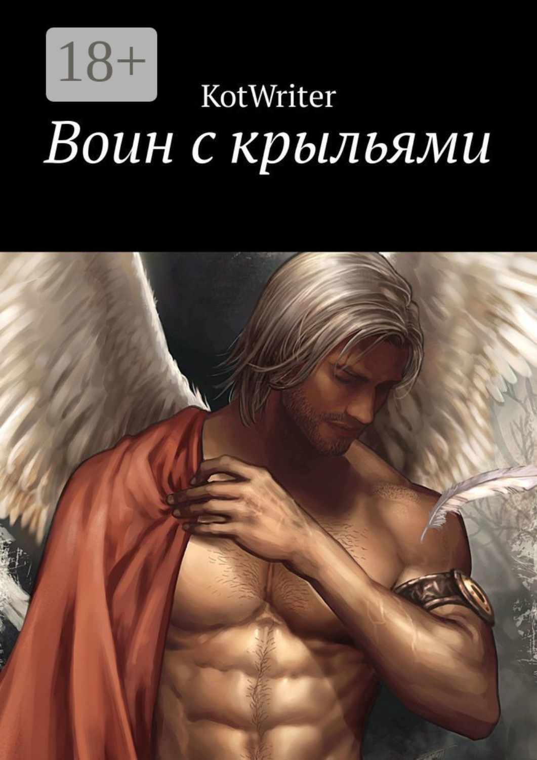 Обложка книги «Воин с крыльями»
