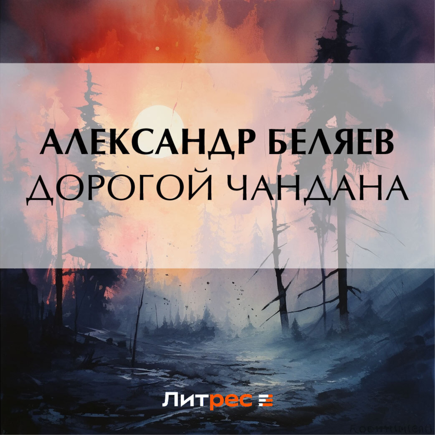 Обложка книги «Дорогой Чандана»