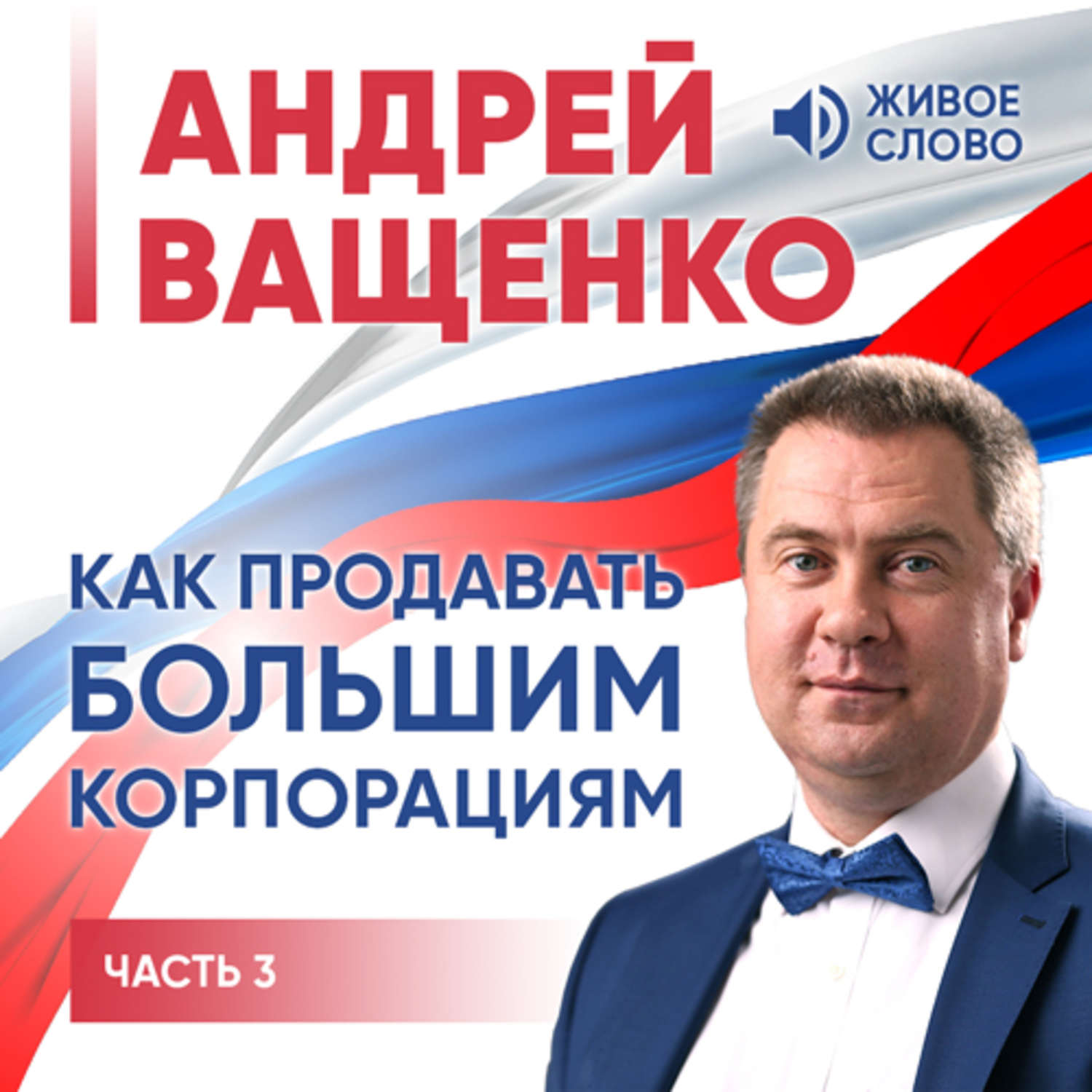 Обложка книги «Как продавать большим корпорациям. Часть 3»