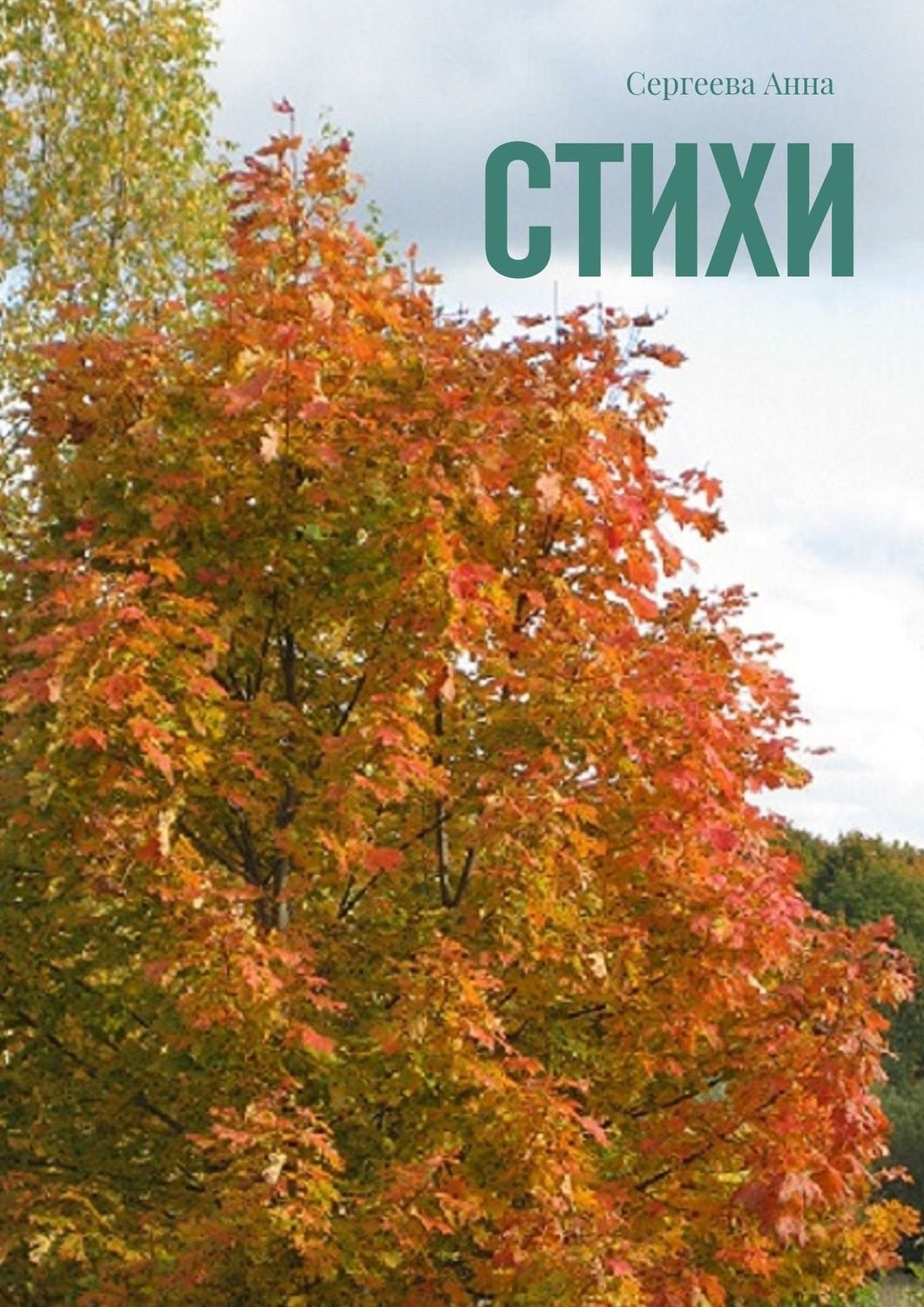 Обложка книги «Стихи»