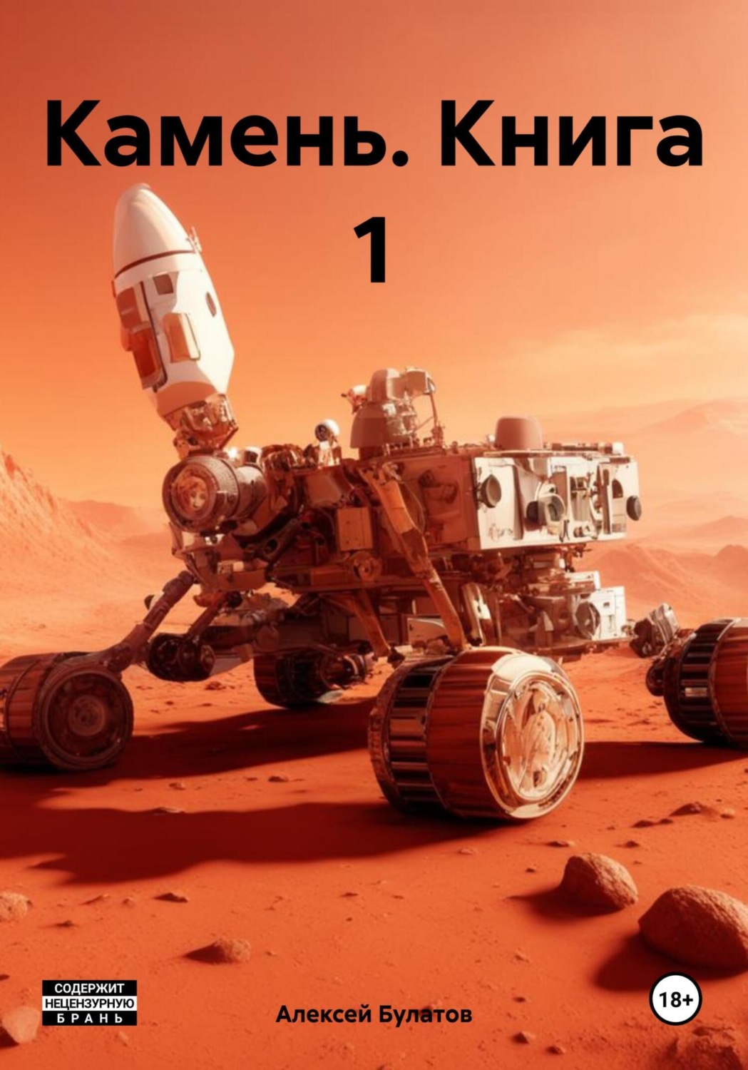 Обложка книги «Камень. Книга 1»