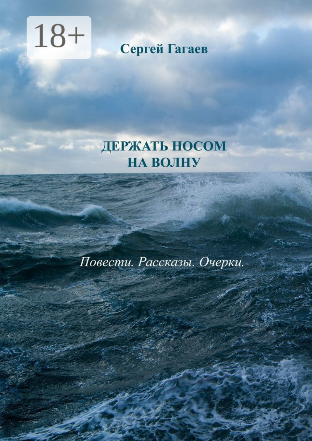 Обложка книги «Держать носом на волну»