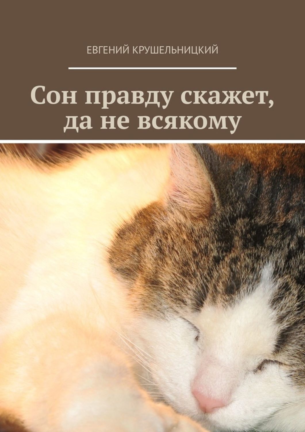 Обложка книги «Сон правду скажет, да не всякому»