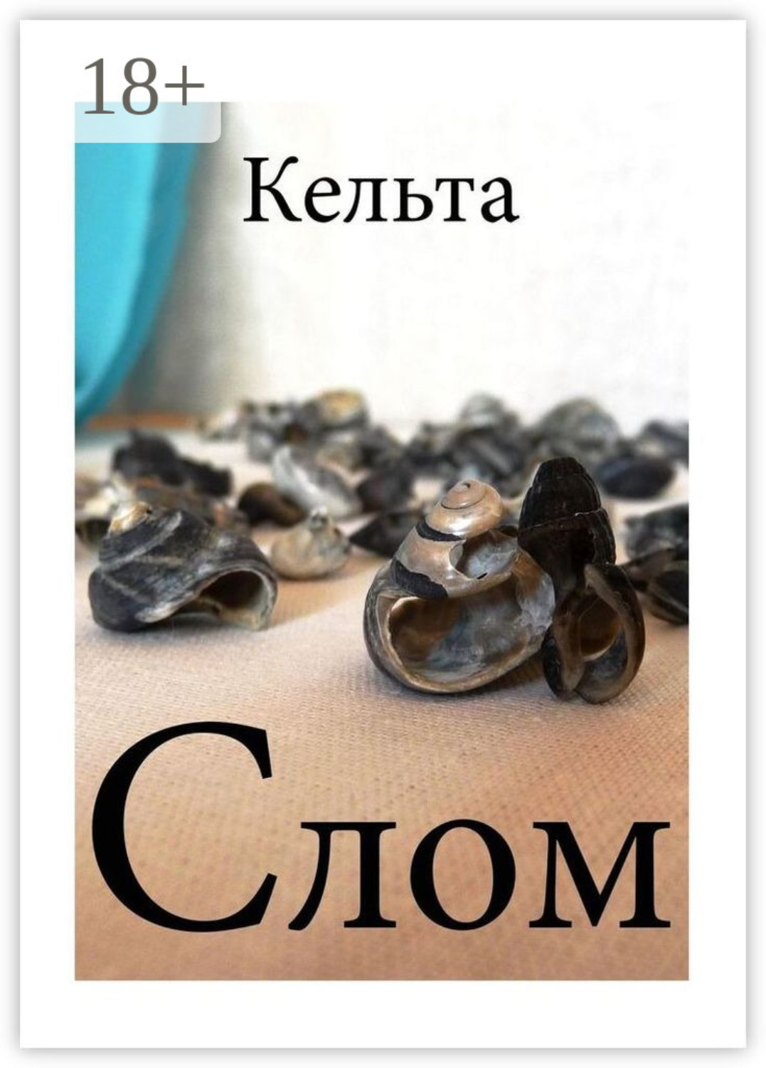 Обложка книги «Слом»