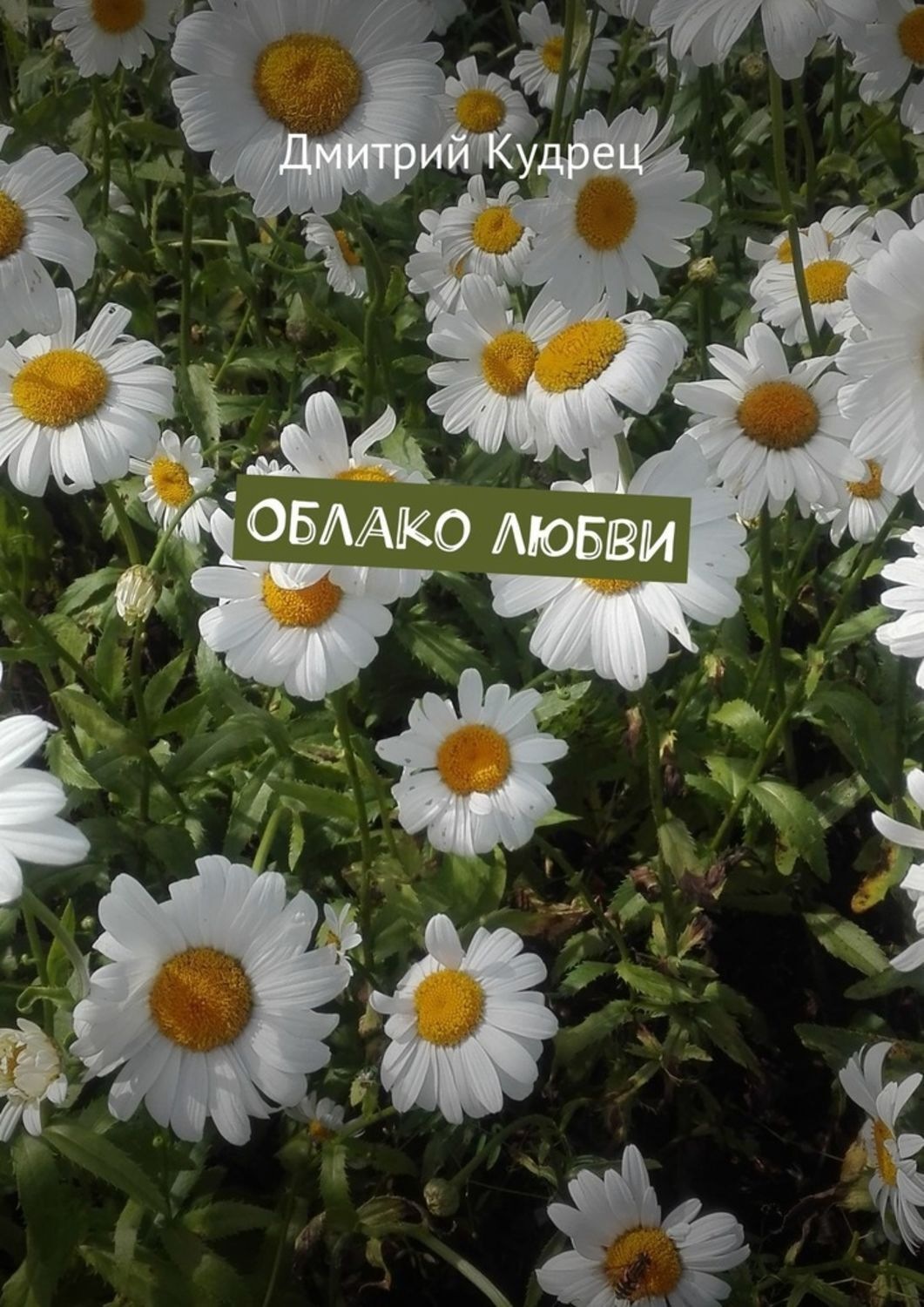 Обложка книги «Облако любви»
