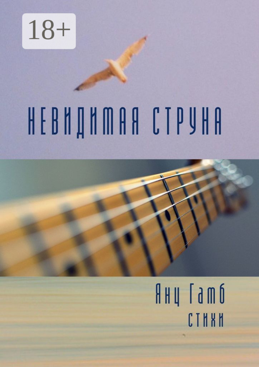Обложка книги «Невидимая струна. Стихи»