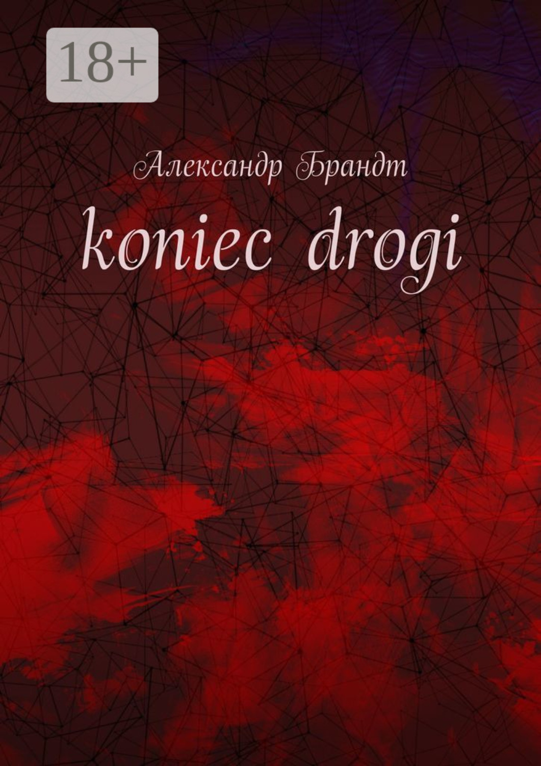Обложка книги «koniec drogi»