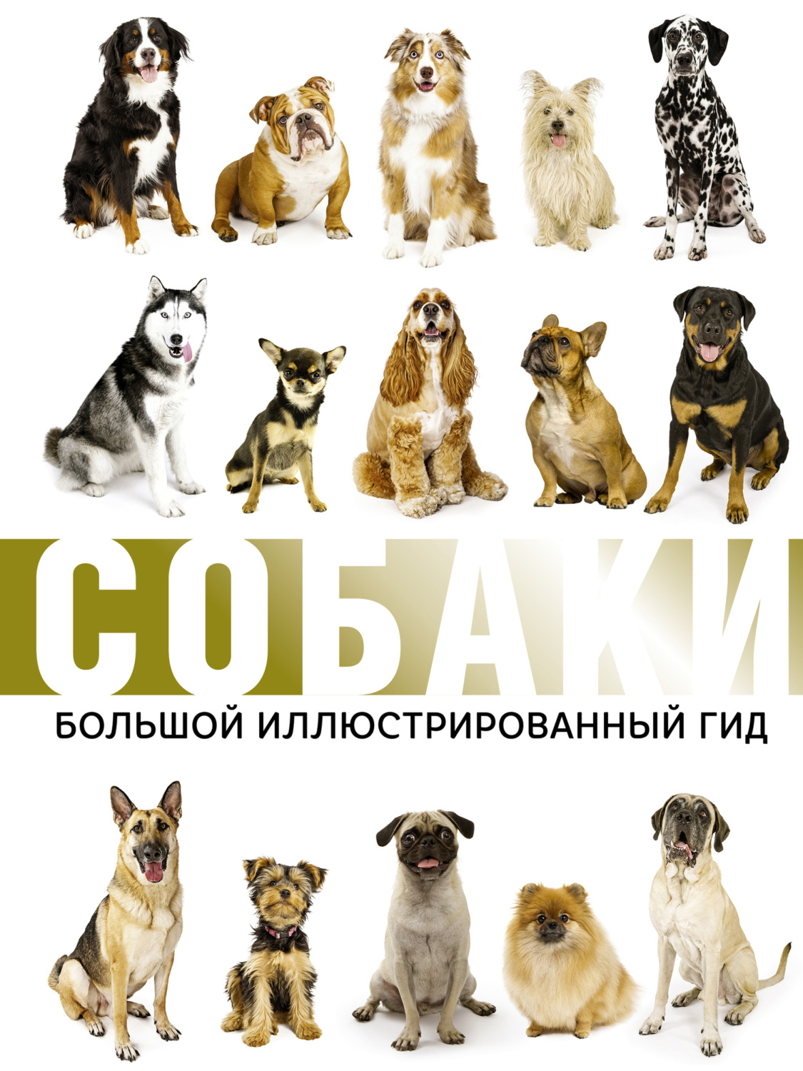 Обложка книги «Собаки. Большой иллюстрированный гид»