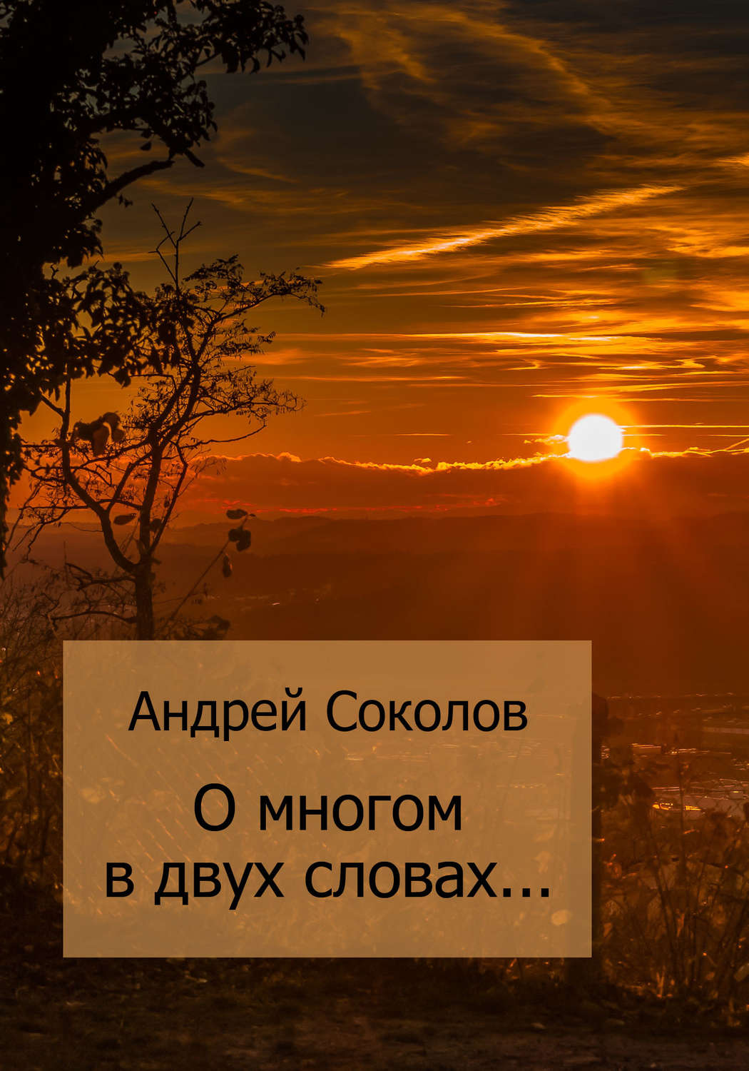 Обложка книги «О многом в двух словах…»