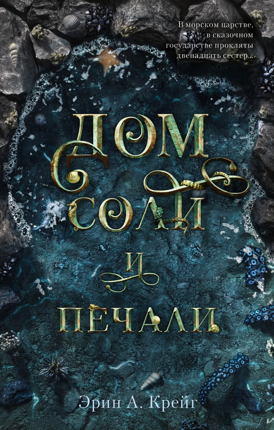 Обложка книги «Дом соли и печали»