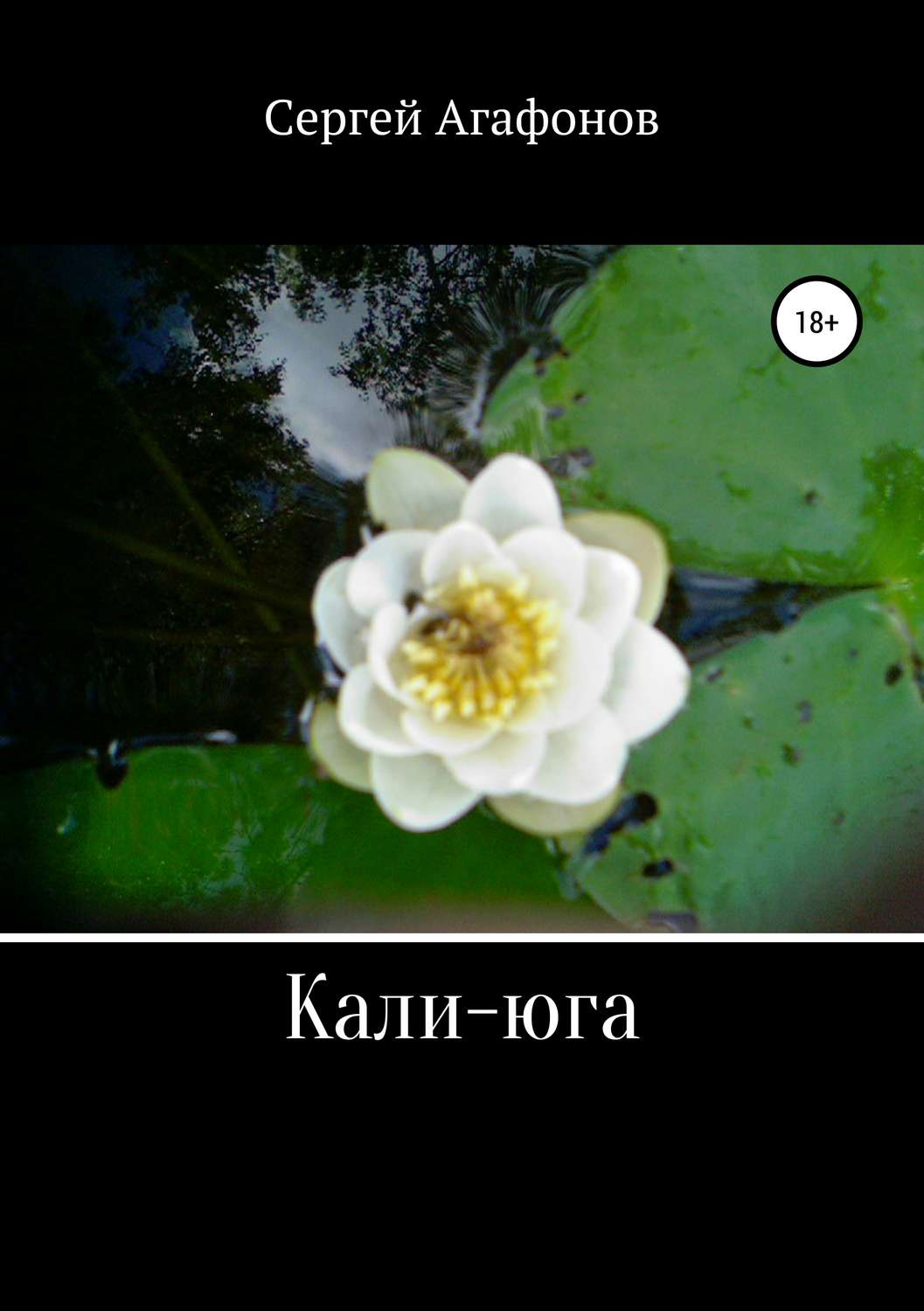 Обложка книги «Кали-юга»