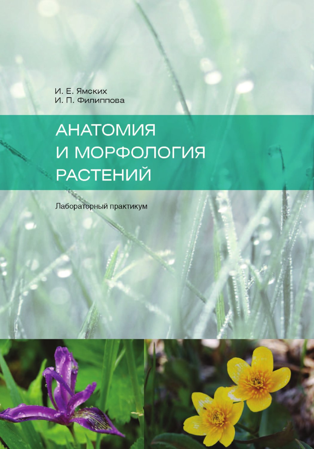 Обложка книги «Анатомия и морфология растений»