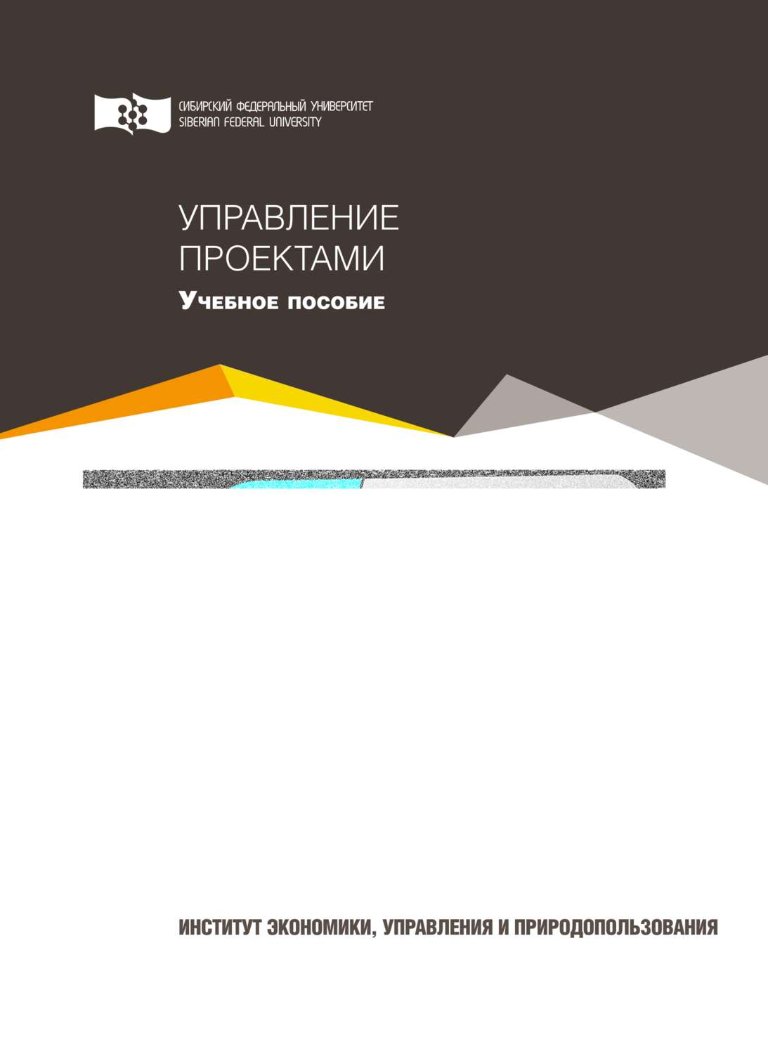 Обложка книги «Управление проектами»