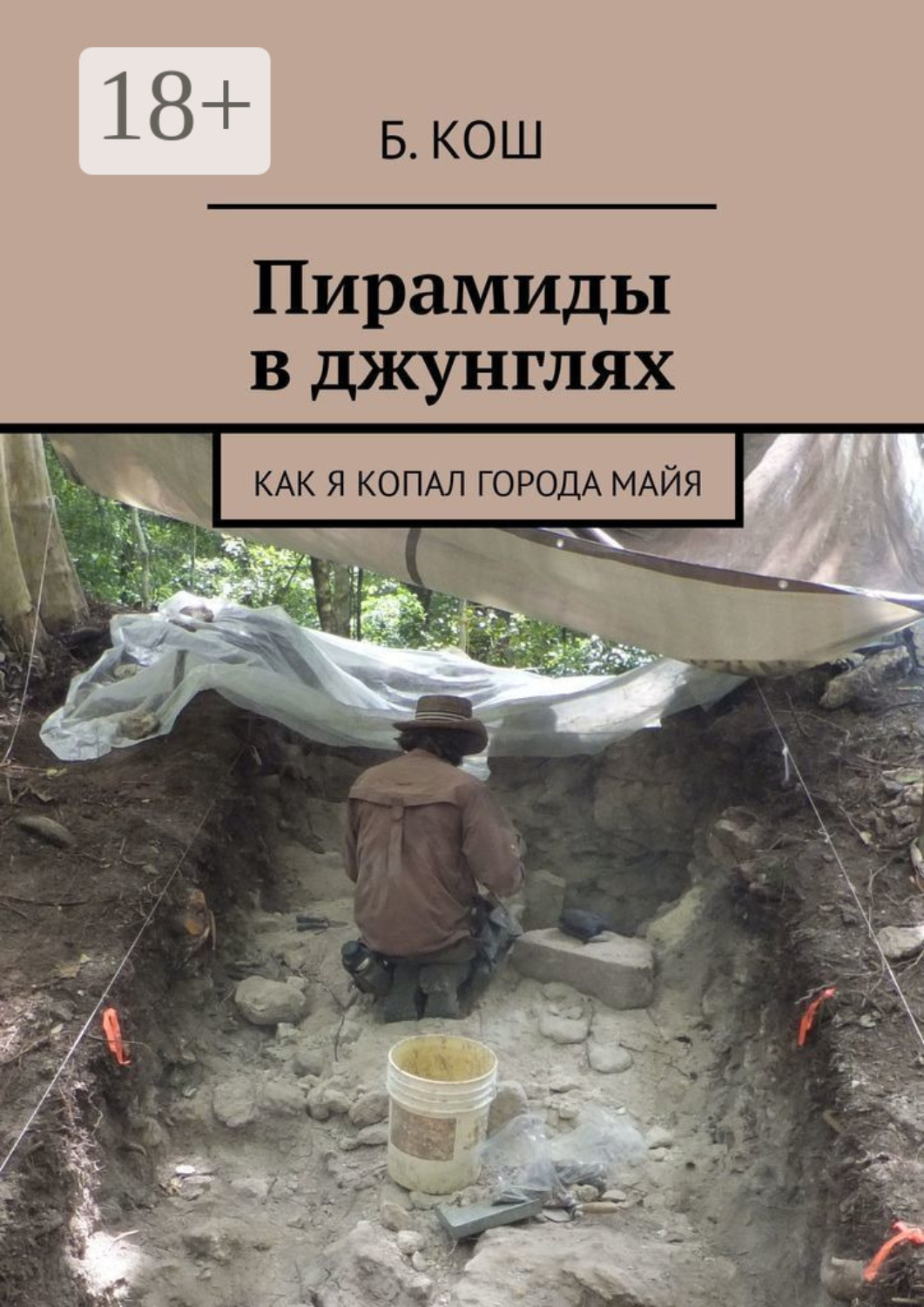 Обложка книги «Пирамиды в джунглях. Как я копал города майя»