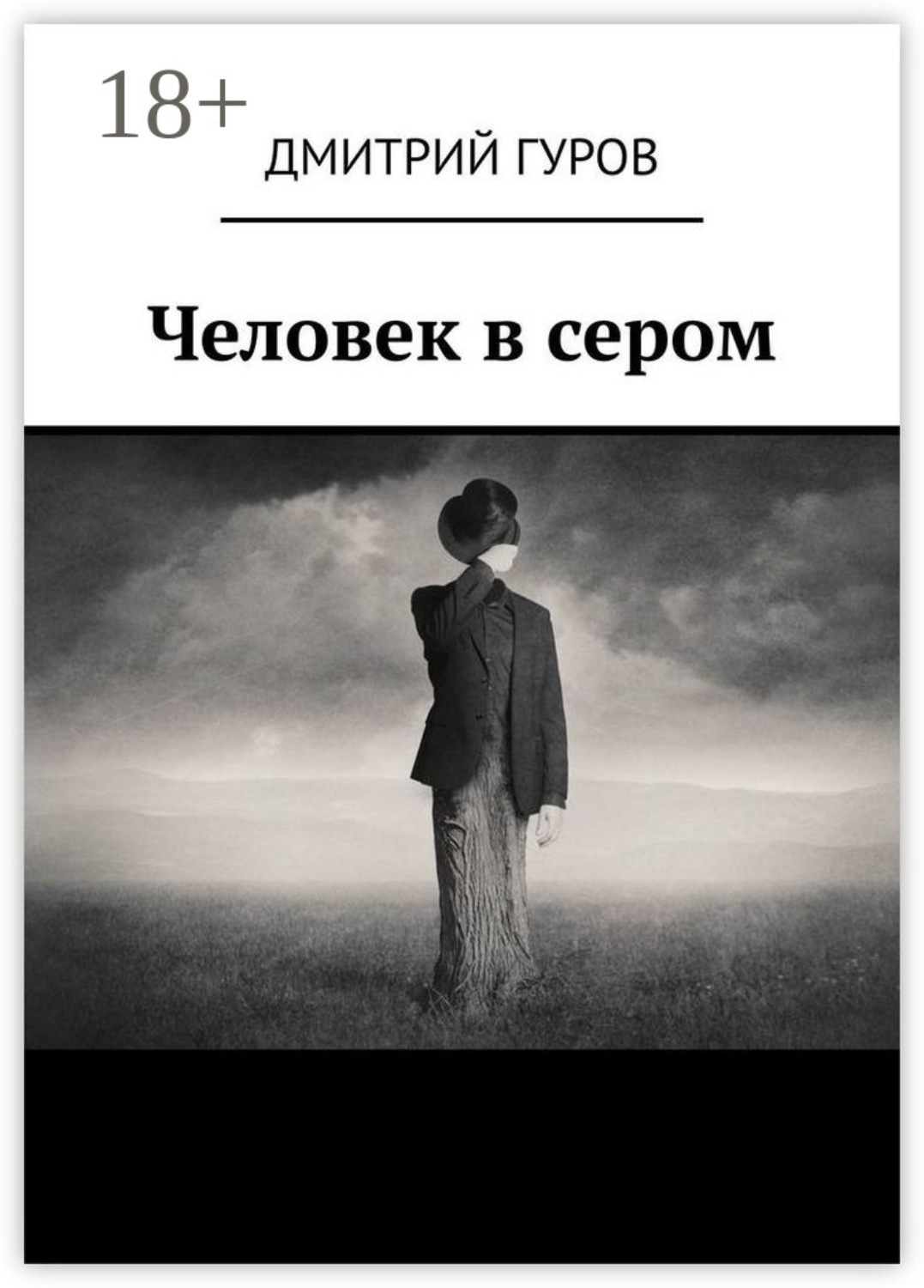 Обложка книги «Человек в сером»