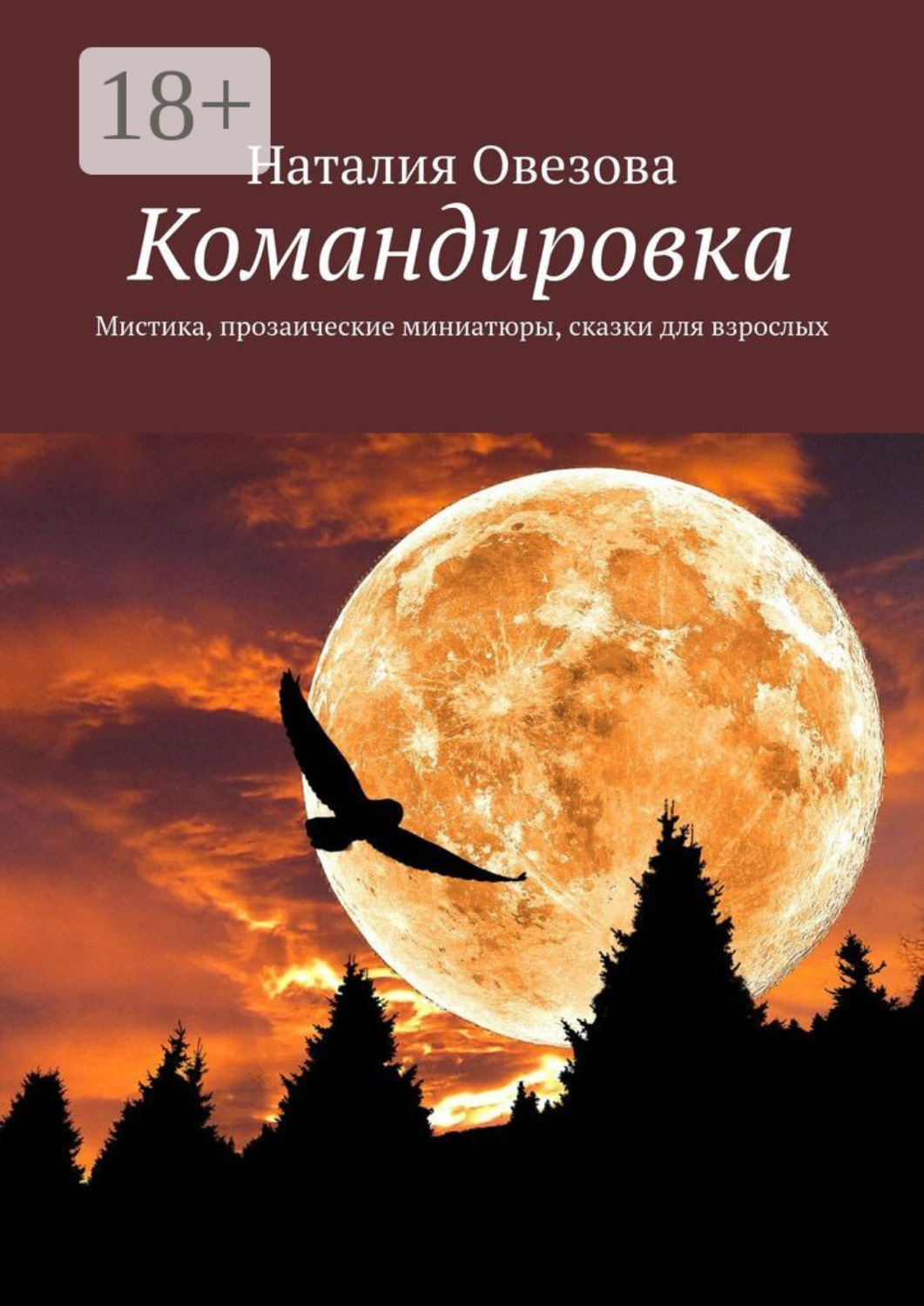 Обложка книги «Командировка. Мистика, прозаические миниатюры, сказки для взрослых»