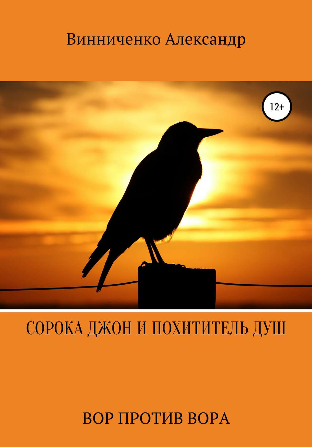Обложка книги «Сорока Джон и Похититель душ. Вор против Вора»