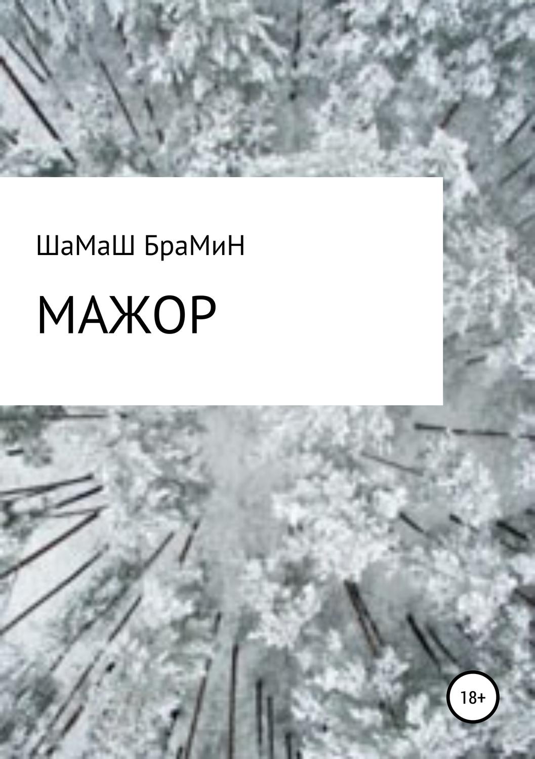 Обложка книги «Мажор»