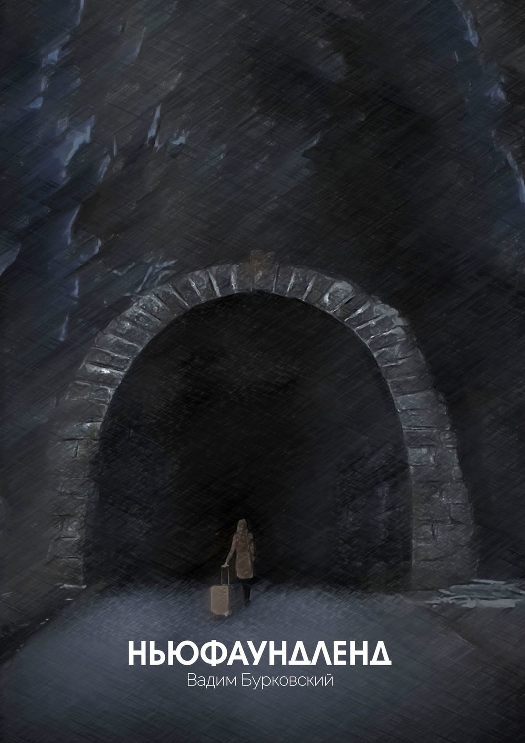 Обложка книги «Ньюфаундленд»