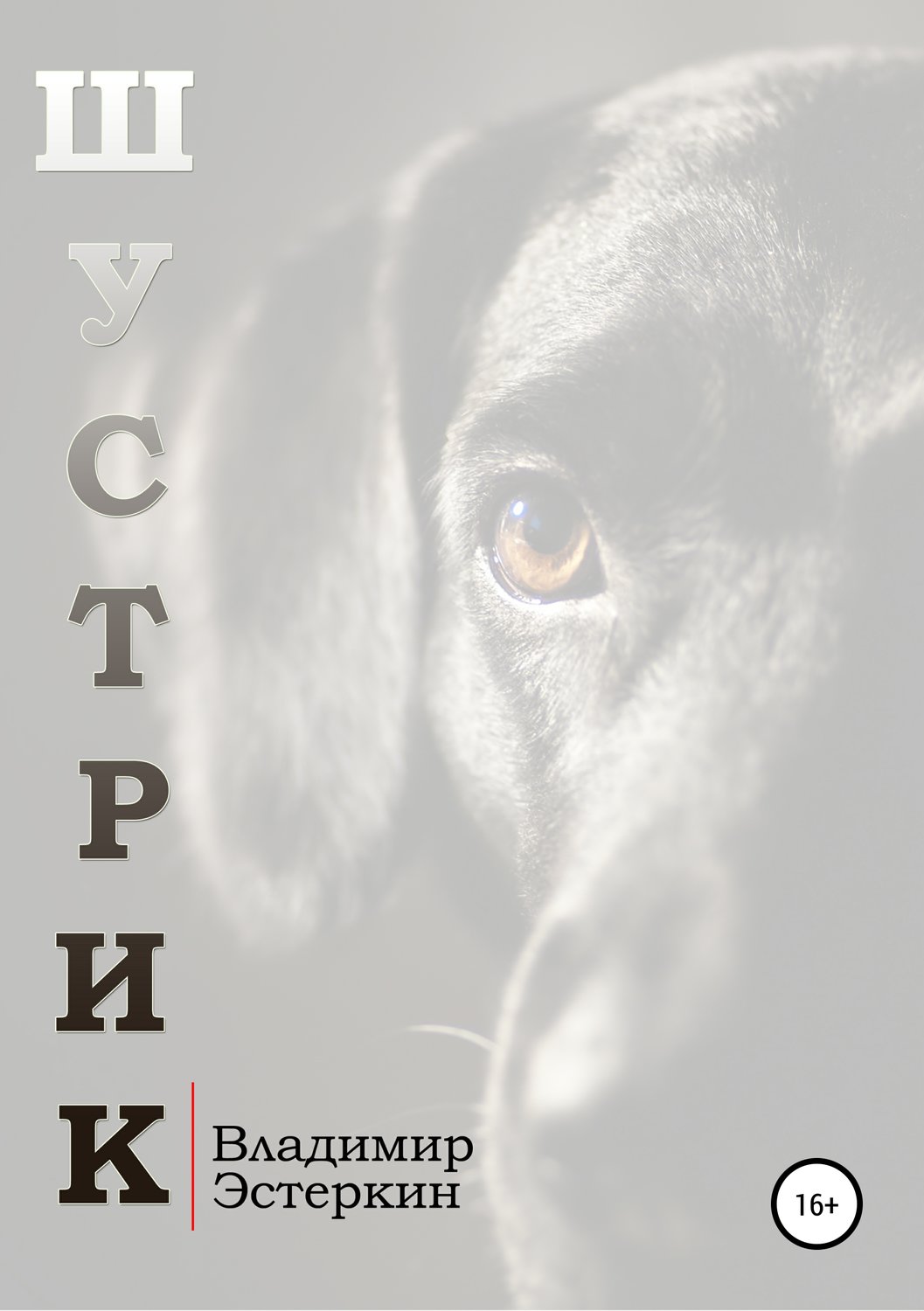 Обложка книги «Шустрик»
