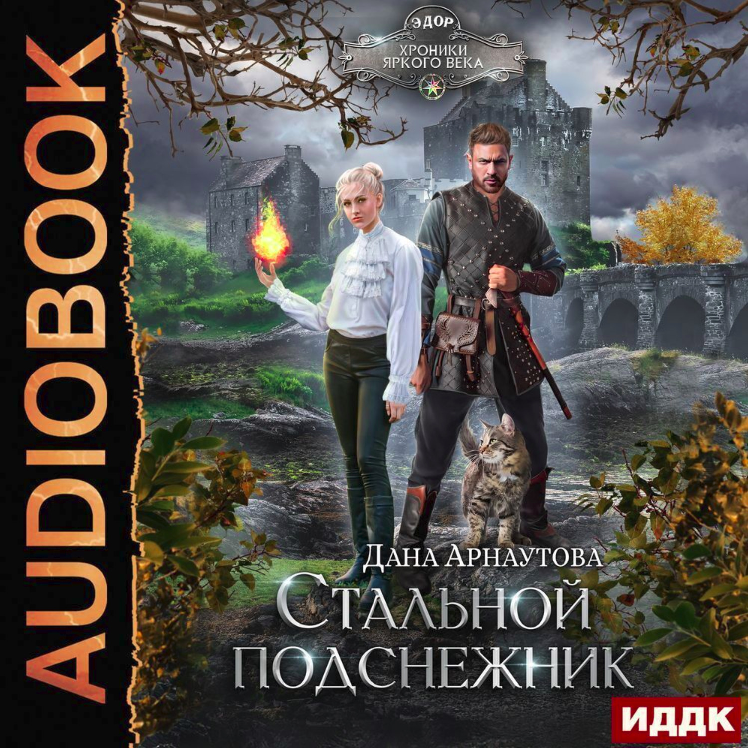 Обложка книги «Стальной подснежник»