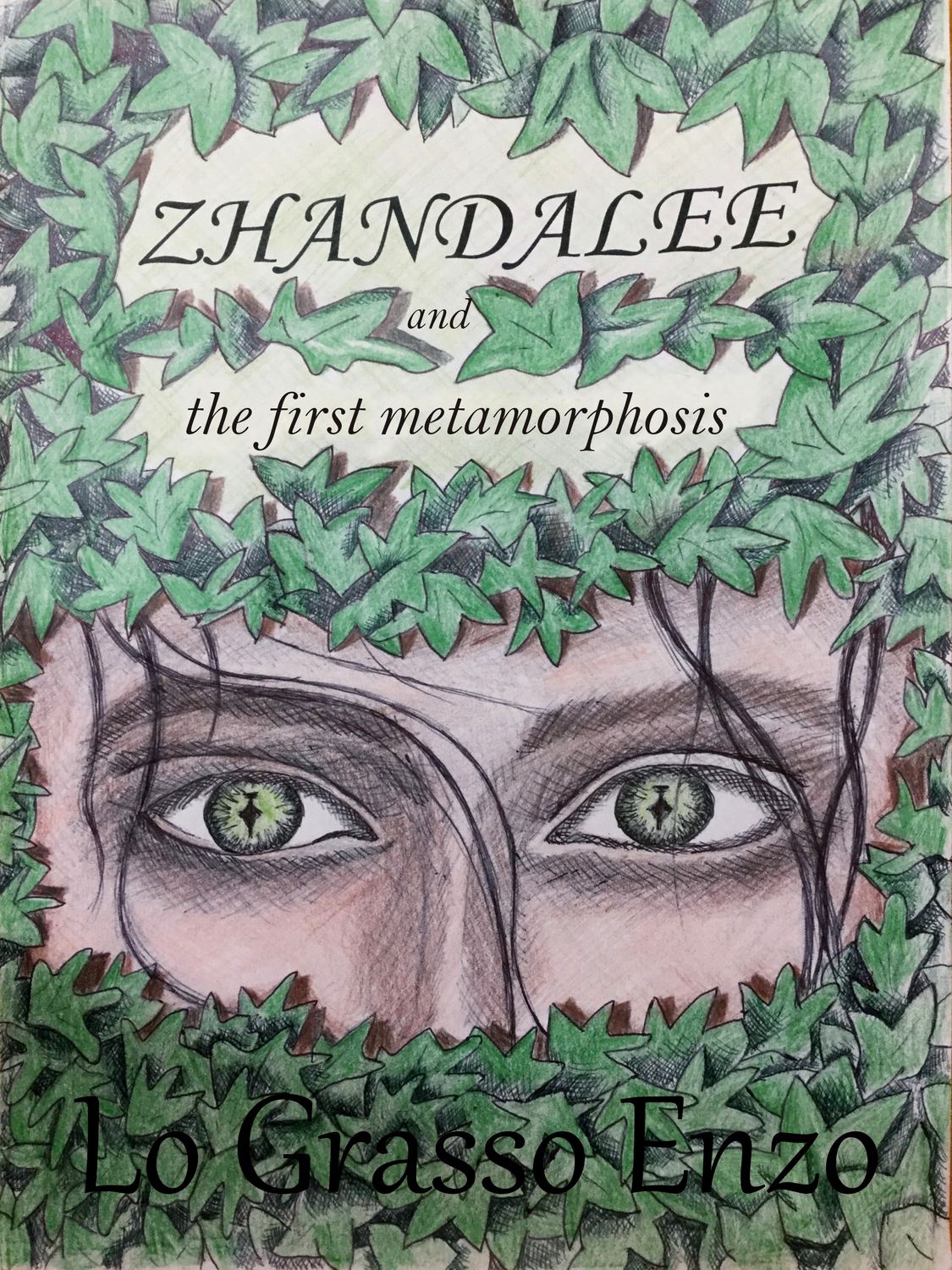 Обложка книги «Zhandalee And The First Metamorphosis»