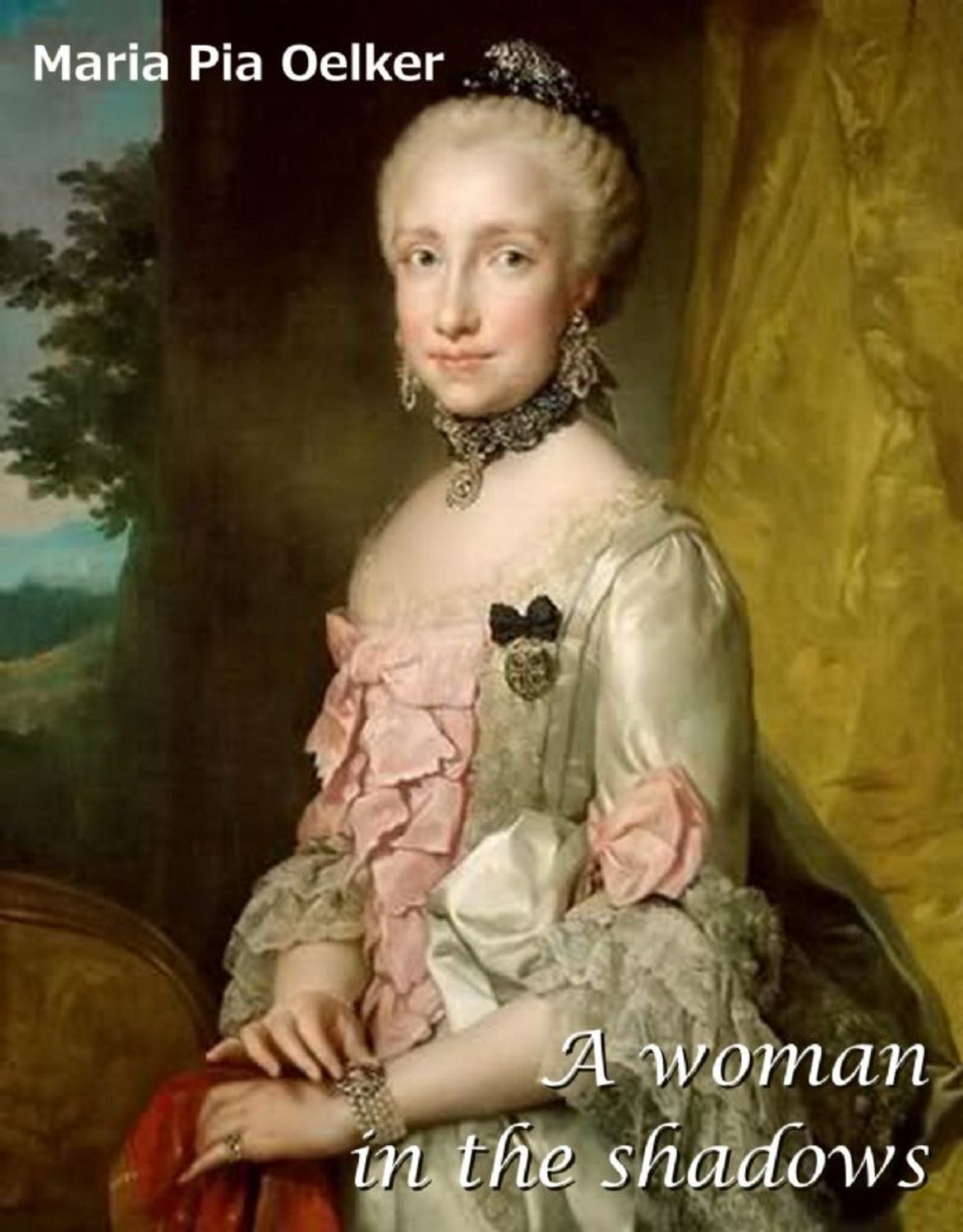 Обложка книги «A Woman In The Shadows»