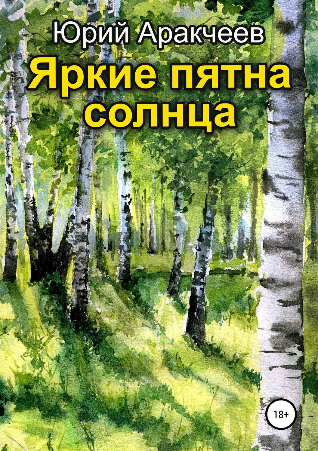 Обложка книги «Яркие пятна солнца»