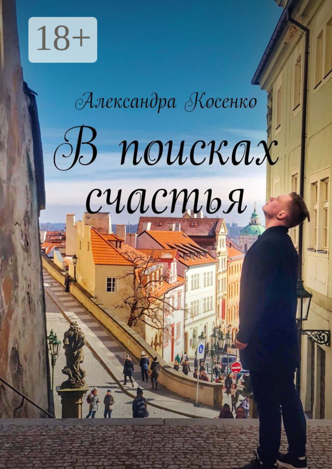 Обложка книги «В поисках счастья»
