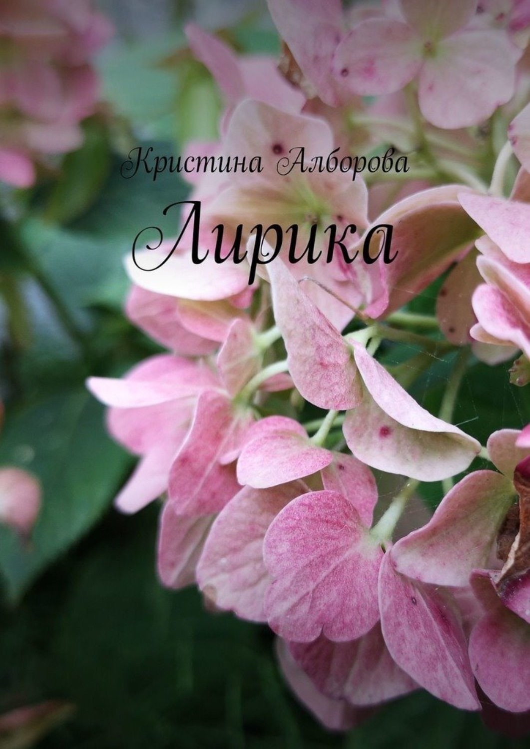 Обложка книги «Лирика»