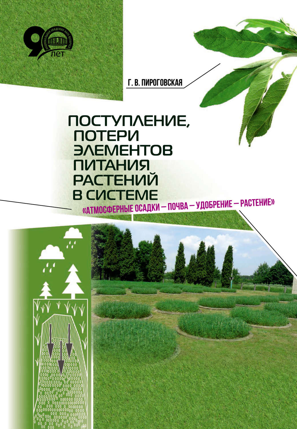 Обложка книги «Поступление, потери элементов питания растений в системе «атмосферные осадки – почва – удобрение – растение»»