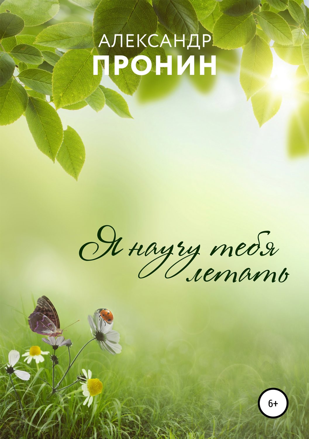 Обложка книги «Я научу тебя летать»