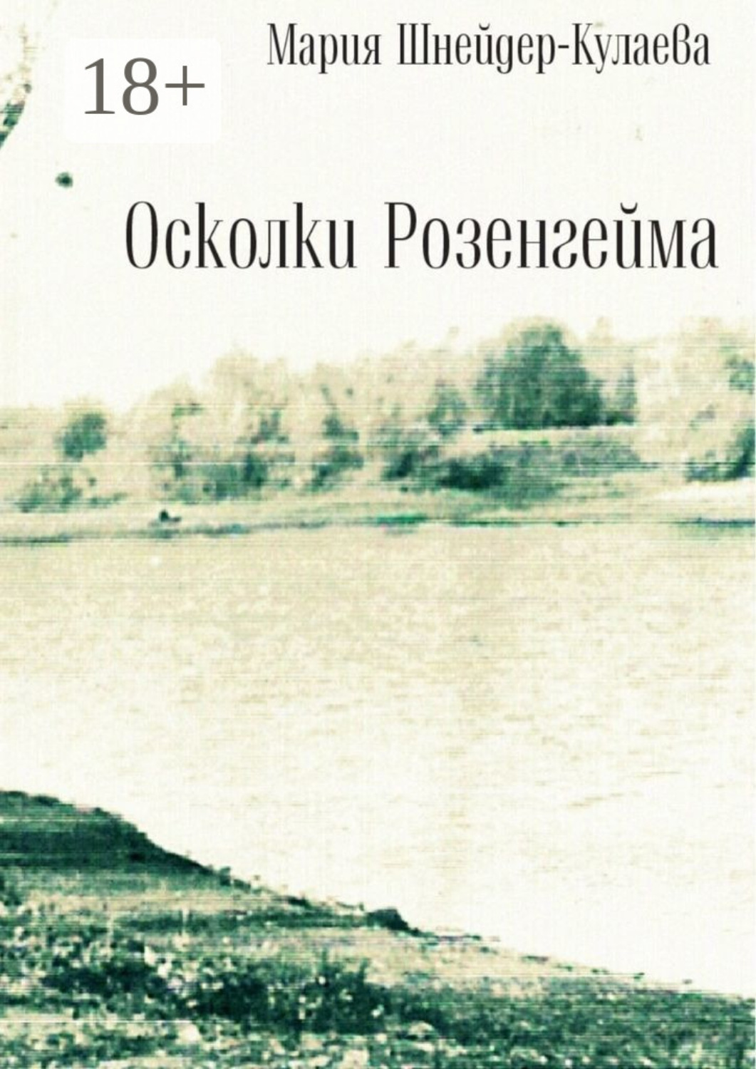 Обложка книги «Осколки Розенгейма. Интервью, воспоминания, письма»