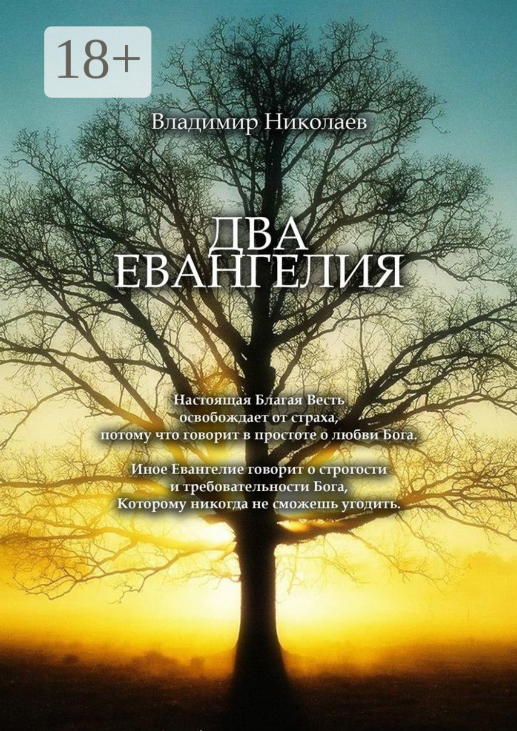 Обложка книги «Два Евангелия. Современные и вечные проблемы христианства, отношений человека и Бога»